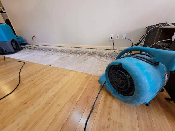 Professional Flood Damage Cleanup technician working in Roundhead, OH